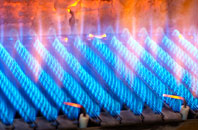 Llandderfel gas fired boilers